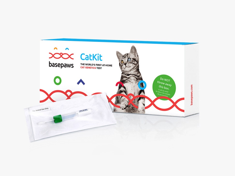 basepaws dna kit