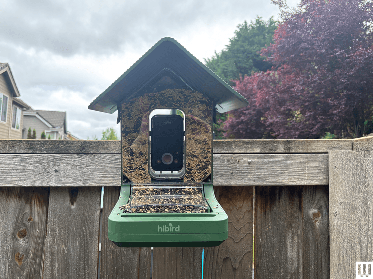 Image may contain: Electronics, Mobile Phone, Phone, Bird Feeder, and Wood