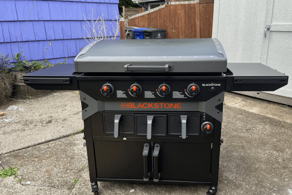 Blackstone Griddle Air Fryer Combo Review: Silly, but Nice