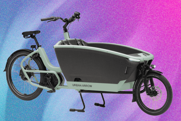 9 Best Electric Cargo Bikes for Families (2025), Tested and Reviewed