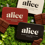 The Best Mushroom Gummies on the Market, Lab-Approved (2025)