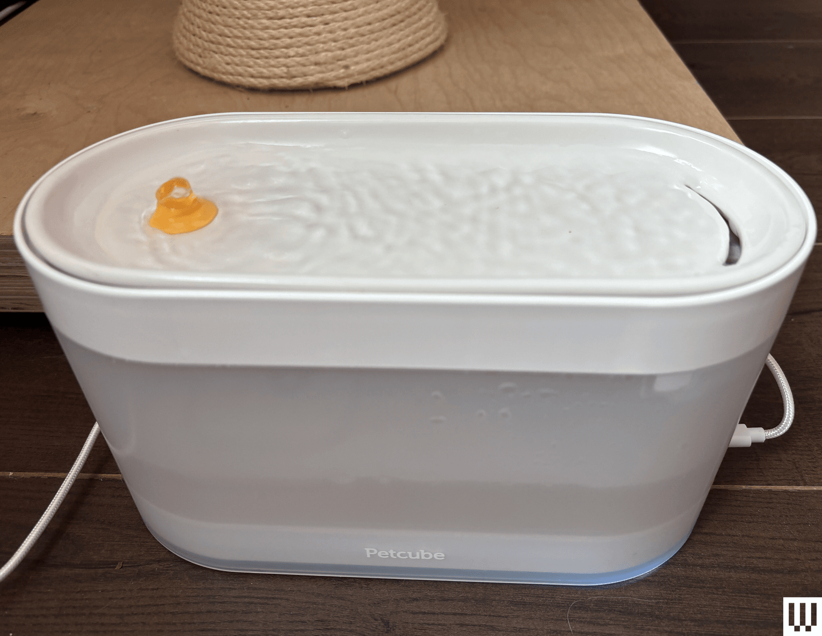 9 Best Cat Water Fountains WIRED Tested and Reviewed