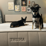 Thuma Hybrid Mattress Review: Firm but Favorable