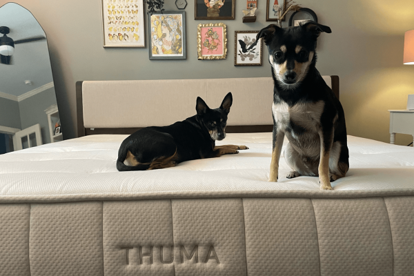 Thuma Hybrid Mattress Review: Firm but Favorable