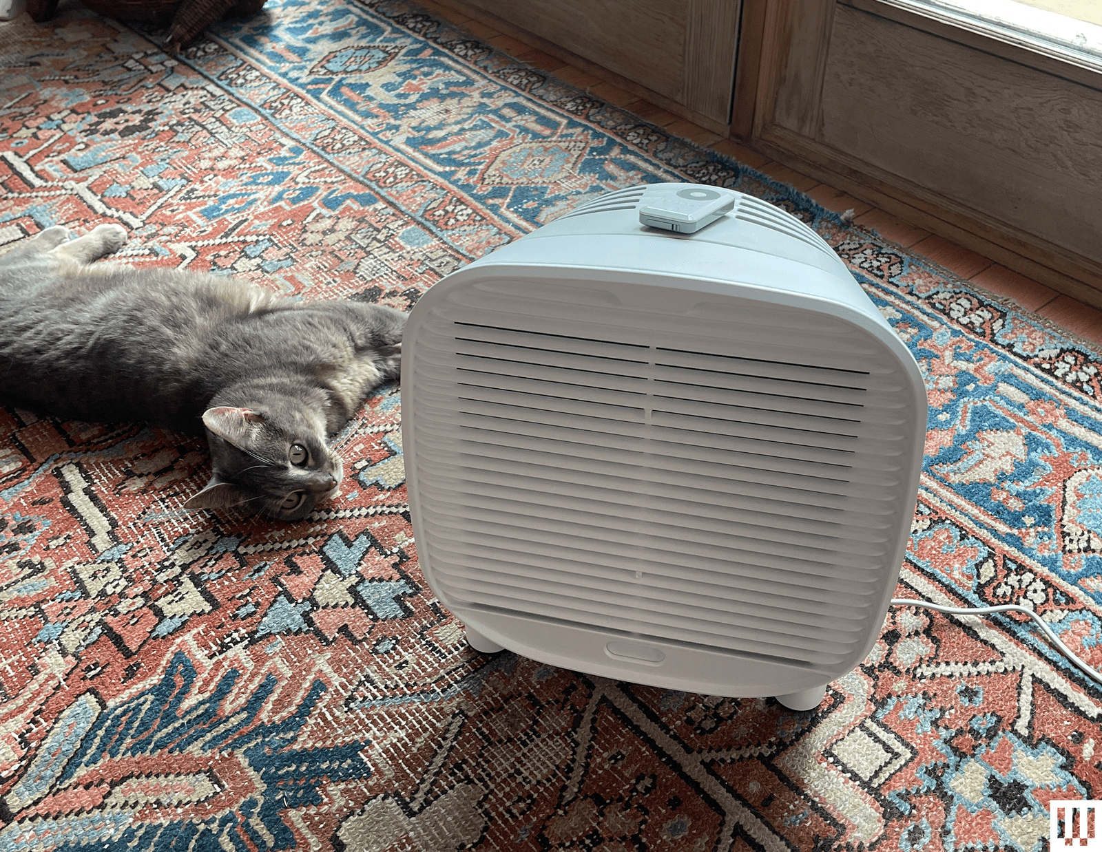 Image may contain Home Decor Animal Cat Mammal Pet Appliance Device Electrical Device Bed and Furniture