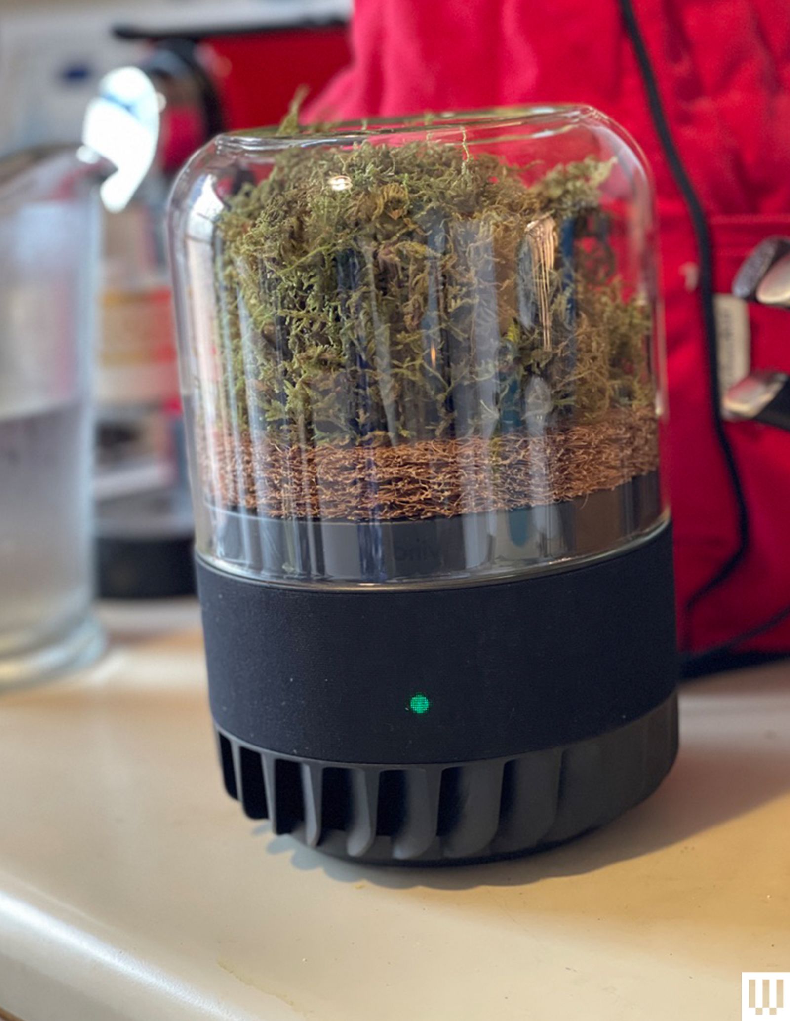 Briiv 2 Pro Air Filter sitting on a countertop a small cylindrical device with a black base and clear lid showing soil...