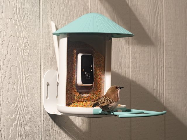 White plastic birdhouse with feeder inside and a camera 