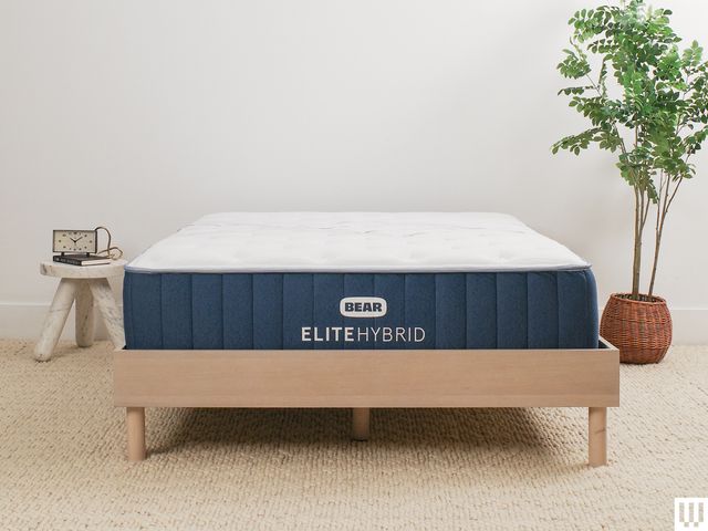 Bear Elite Hybrid, a white side sleeper mattress with blue trim, on a minimalist wooden frame with a nightstand and potted plant on either side