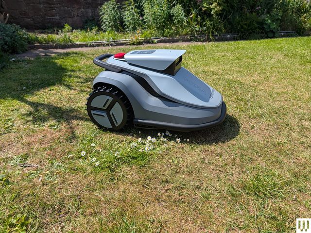 Image may contain: Grass, Lawn, Plant, Device, Lawn Mower, Tool, Machine, and Wheel
