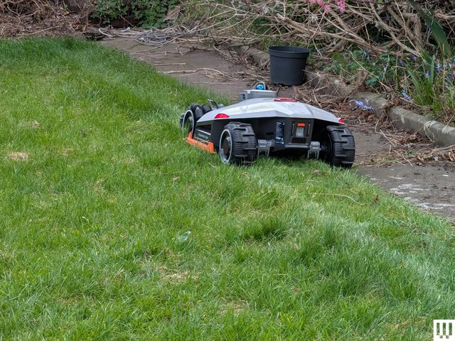 Image may contain: Grass, Lawn, Plant, Device, Lawn Mower, and Tool