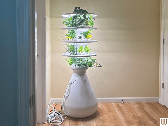 Image may contain: Plant, Potted Plant, Floor, Flooring, Indoors, Interior Design, Flower, Flower Arrangement, and Jar